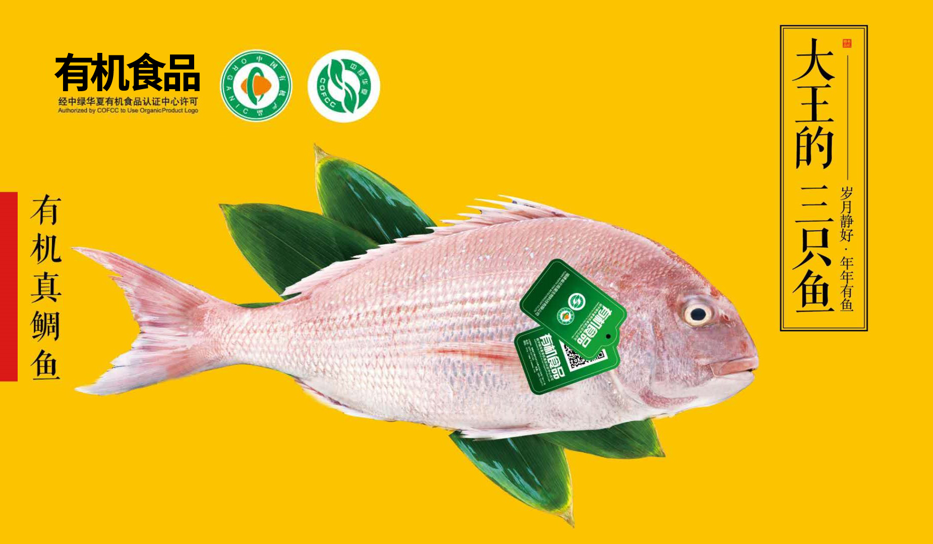 三去有机真鲷鱼 - 有机产品 - 海名威